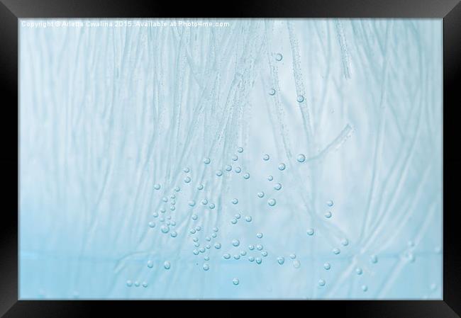 Blue water air bubbles closeup Framed Print by Arletta Cwalina
