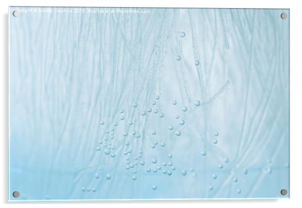 Blue water air bubbles closeup Acrylic by Arletta Cwalina