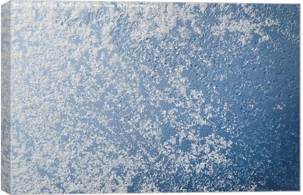 Snow and water condensation texture Canvas Print by Arletta Cwalina