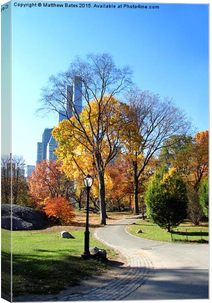 Autumn in Central Park Canvas Print by Matthew Bates