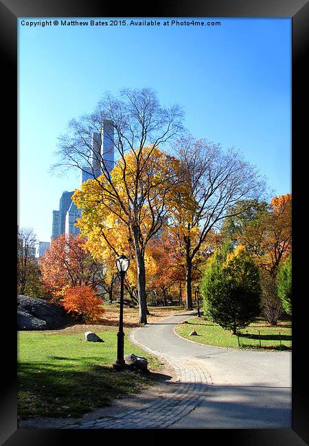 Autumn in Central Park Framed Print by Matthew Bates