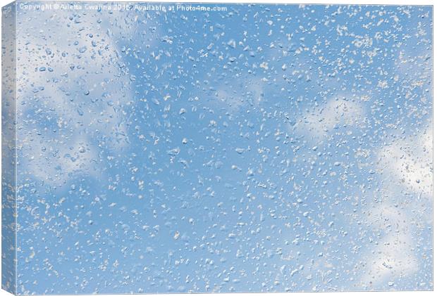 Melting snow drops blue sky Canvas Print by Arletta Cwalina