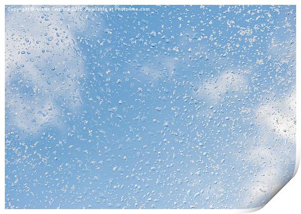 Melting snow drops blue sky Print by Arletta Cwalina