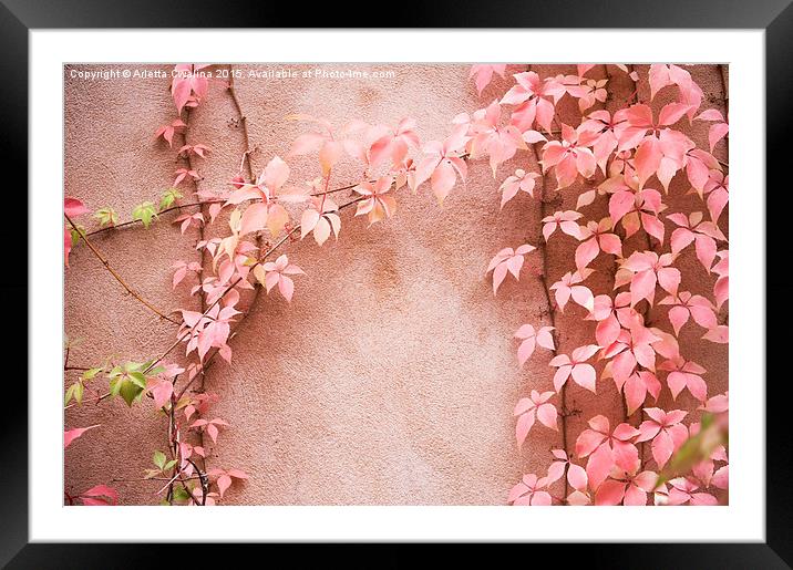 Wall abstract old ivy leaves Framed Mounted Print by Arletta Cwalina