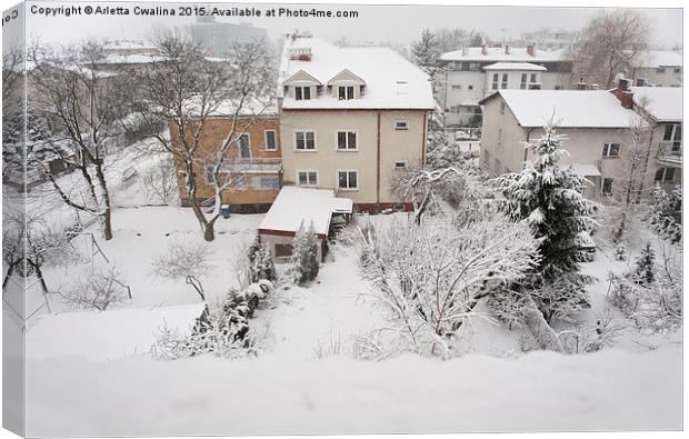 Backyard house winter view Canvas Print by Arletta Cwalina