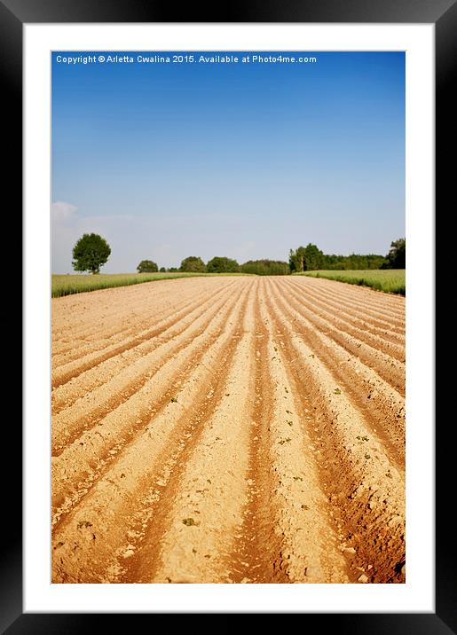 Ploughed agriculture field empty Framed Mounted Print by Arletta Cwalina