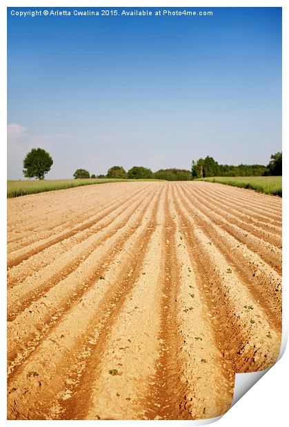 Ploughed agriculture field empty Print by Arletta Cwalina