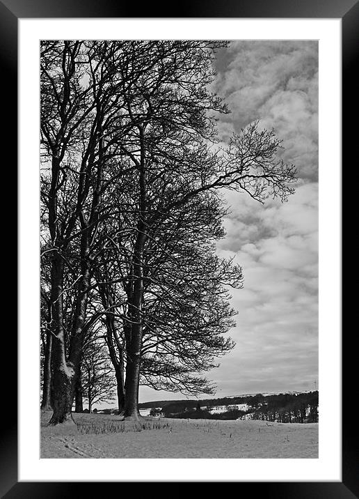 The Tree Framed Mounted Print by Tommy Reilly