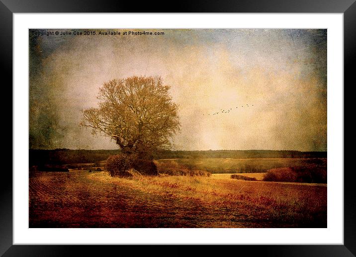 View From Bunkers Framed Mounted Print by Julie Coe