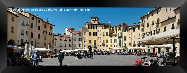  Piazza Dell' Anfiteatro Panorama  Framed Print by Adrian Beese
