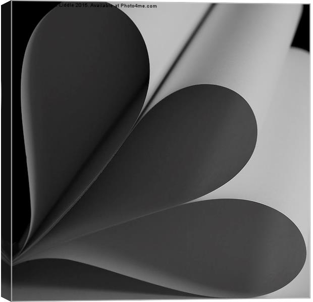  Two Hearts as One - Part of a 3 photo series Canvas Print by Gavin Liddle