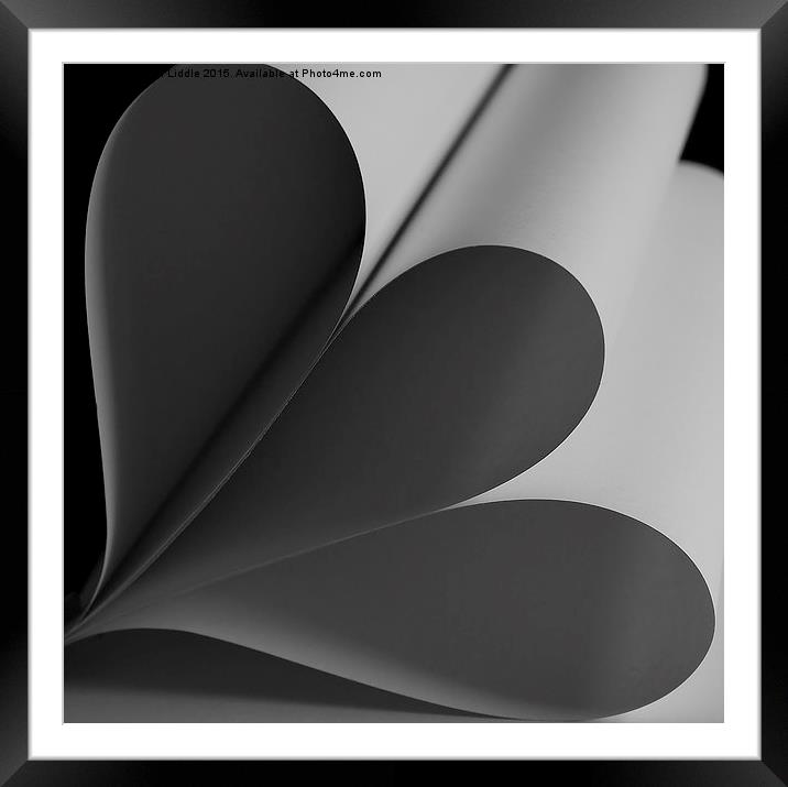  Two Hearts as One - Part of a 3 photo series Framed Mounted Print by Gavin Liddle