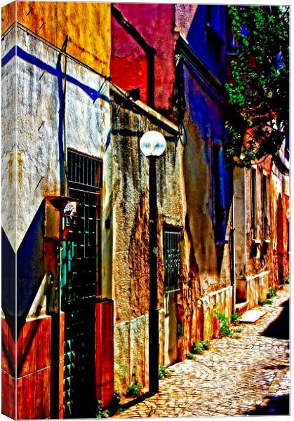 Turkish village street scene Canvas Print by ken biggs