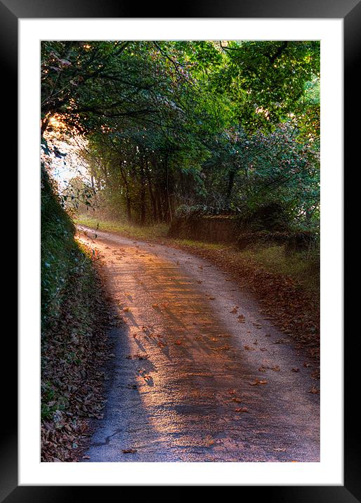 Leafy Lane Framed Mounted Print by Mark Robson