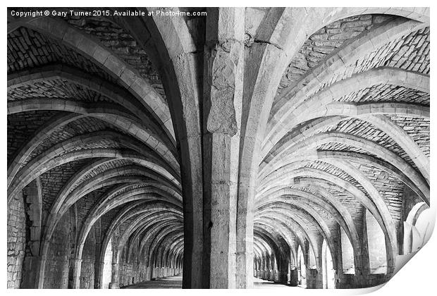 Cellar Arches Print by Gary Turner