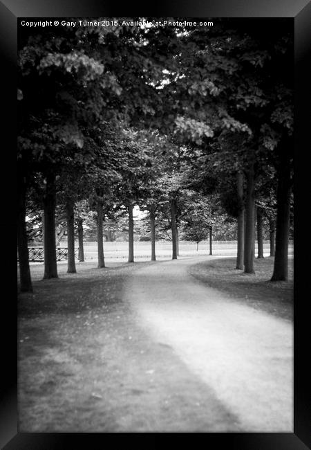  Avenue of Trees Framed Print by Gary Turner