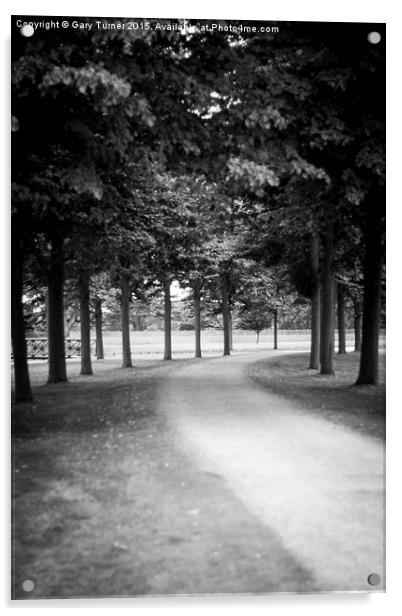  Avenue of Trees Acrylic by Gary Turner