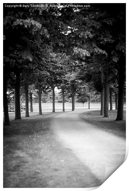  Avenue of Trees Print by Gary Turner