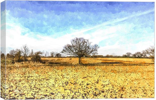 The Farm Tree Canvas Print by David Pyatt