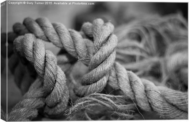 Old Rope Canvas Print by Gary Turner