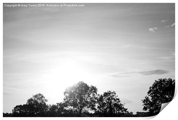 Late Summer Sky Print by Gary Turner