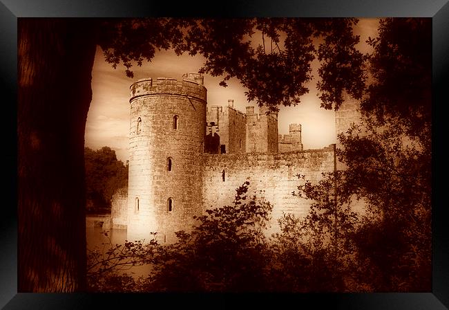  A view of Bodiam Castle through the trees Framed Print by pristine_ images