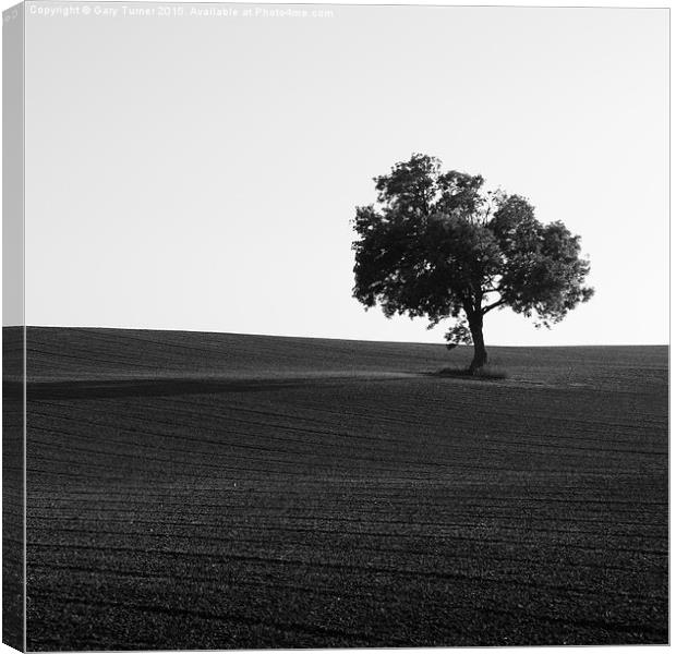  Lonely Tree Canvas Print by Gary Turner