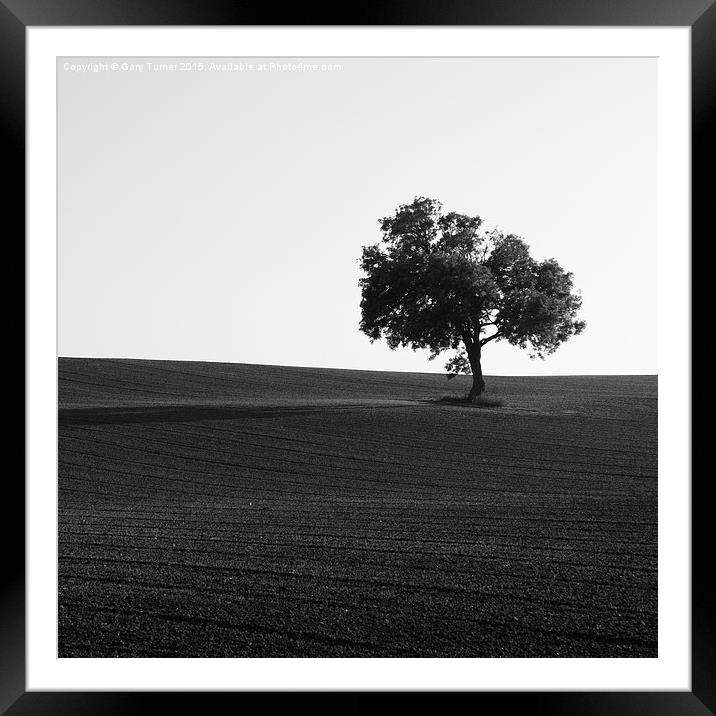  Lonely Tree Framed Mounted Print by Gary Turner