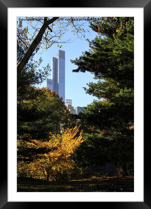Central Park in Autumn Framed Mounted Print by Matthew Bates