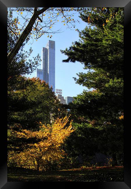 Central Park in Autumn Framed Print by Matthew Bates