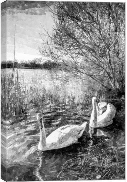 Swan Lake Art Canvas Print by David Pyatt