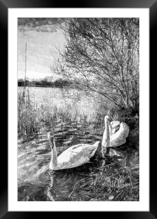 Swan Lake Art Framed Mounted Print by David Pyatt