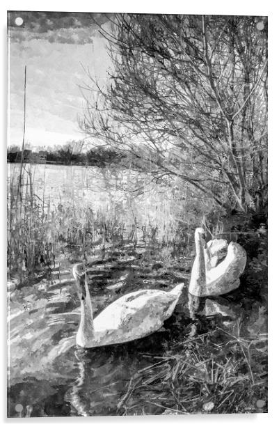 Swan Lake Art Acrylic by David Pyatt