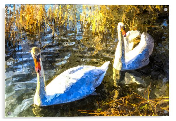 Swan Art Acrylic by David Pyatt