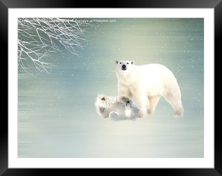  Arctic Family Framed Mounted Print by Sharon Lisa Clarke