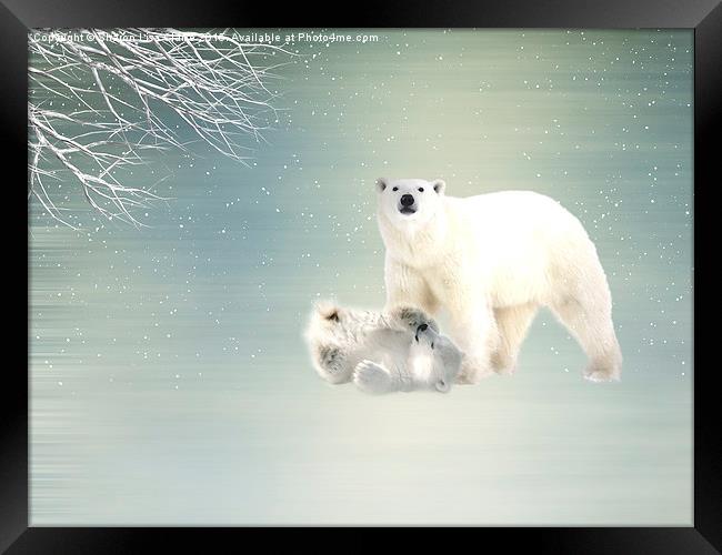  Arctic Family Framed Print by Sharon Lisa Clarke