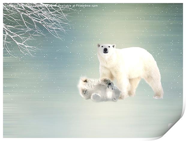  Arctic Family Print by Sharon Lisa Clarke