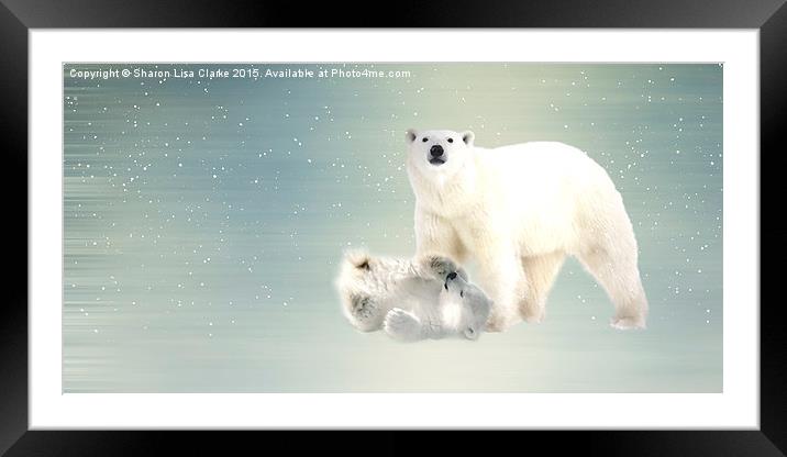  Arctic Family pano Framed Mounted Print by Sharon Lisa Clarke