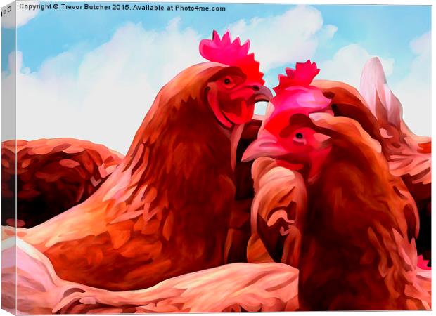  The Chickens Canvas Print by Trevor Butcher