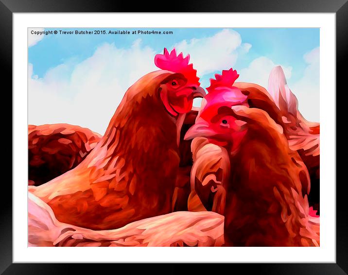  The Chickens Framed Mounted Print by Trevor Butcher