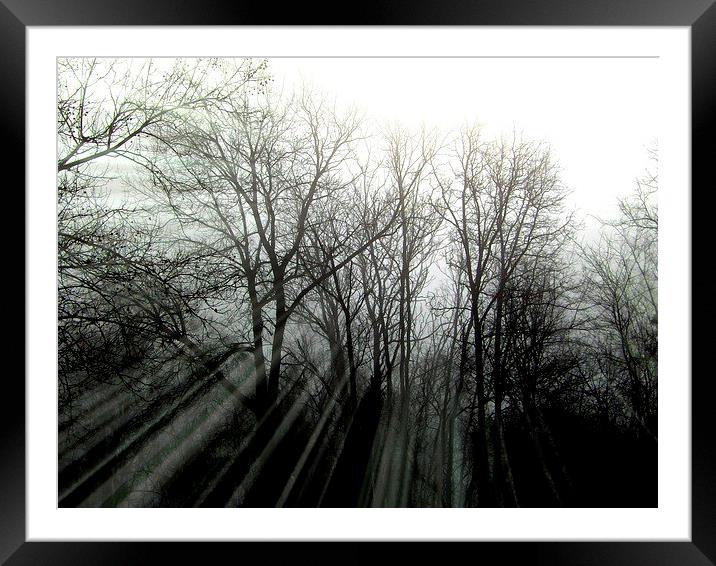  Ribbons of Light Framed Mounted Print by Pics by Jody Adams