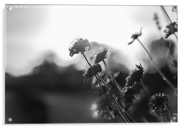 Summer Meadow Acrylic by Gary Turner