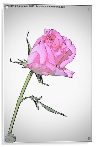 Beautiful Red Hybrid Tea rose  Acrylic by Frank Irwin