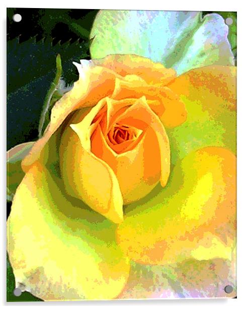 Heavenly Rose Close Up  Acrylic by james balzano, jr.