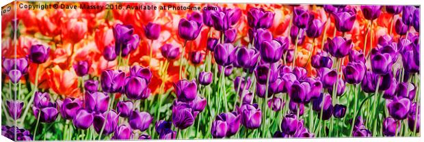 Vivid Tulips Canvas Print by Dave Massey