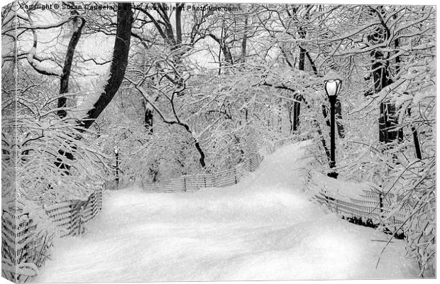 Central Park Dressed Up In White Canvas Print by Susan Candelario