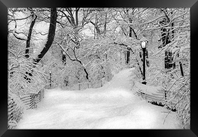 Central Park Dressed Up In White Framed Print by Susan Candelario
