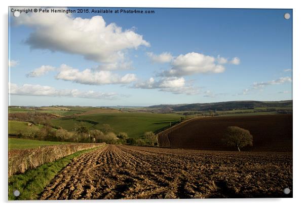  Rural view near Cheriton Bishop Acrylic by Pete Hemington