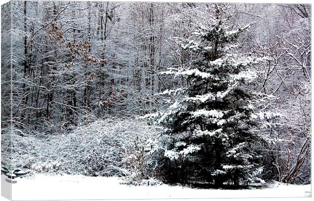  Snow Scene  Canvas Print by james balzano, jr.