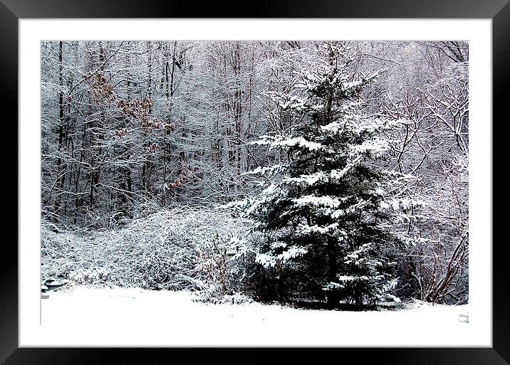  Snow Scene  Framed Mounted Print by james balzano, jr.